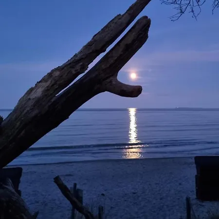 Vali - Odins Blick 3 - Drei Terrassen, Privatstrand, Sauna, Ruhige Lage * Lobbe